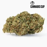 Dream Diesel
