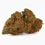 Gelato 33