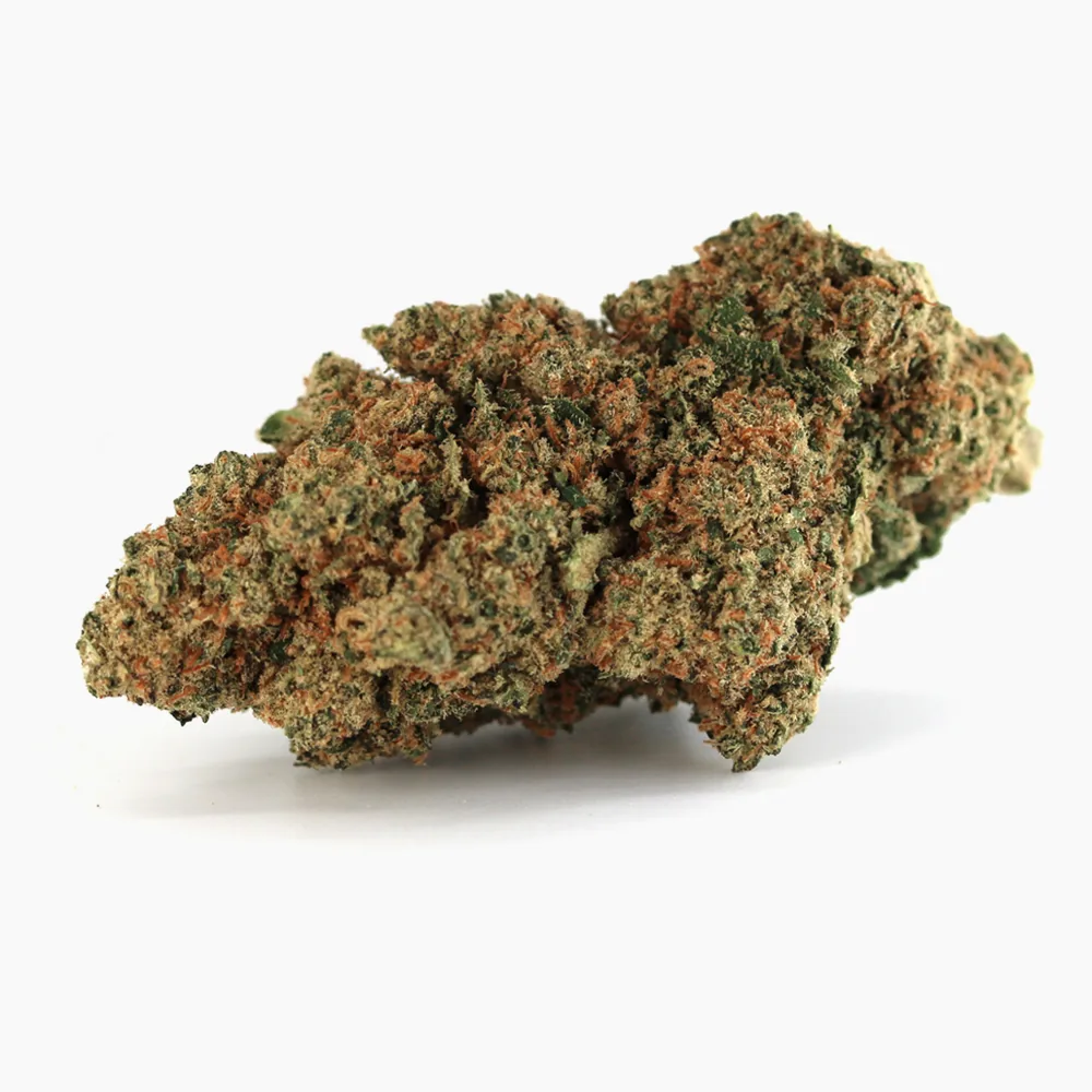 Girl Scout Cookies Girl Scout Cookies - Image 1