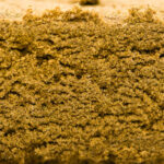 Golden Hash - Image 2