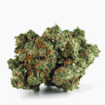 Gorilla Glue