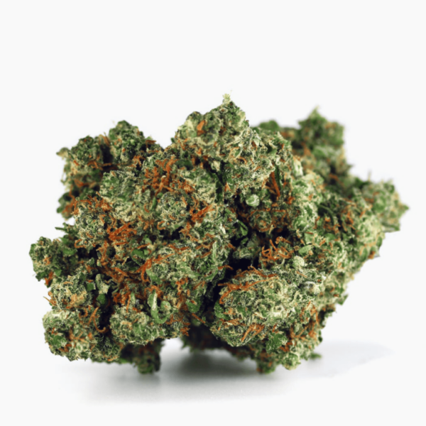 Gorilla Glue