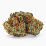 Gorilla Mandarine