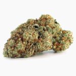 Lemon Kush Pop