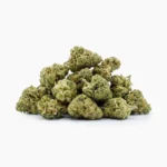 Minibud Cali USA