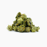 Minibud Premium