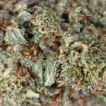 OG Kush - Image 2