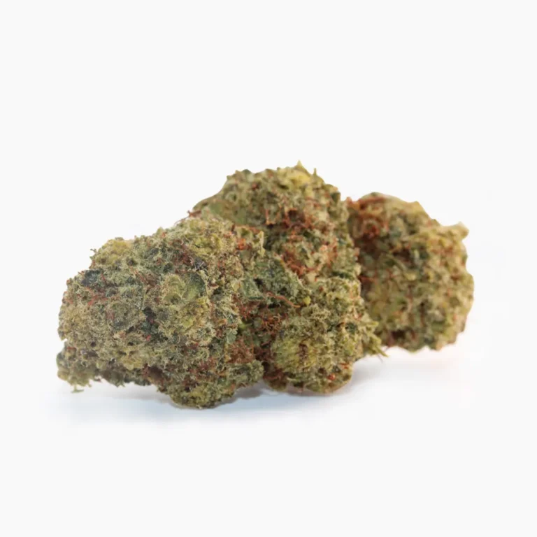 Orange Bud Orange Bud - Image 1